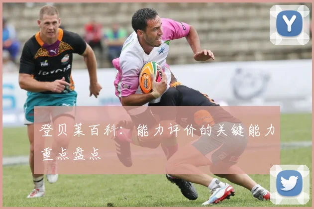 登贝莱百科:能力评价的关键能力重点盘点