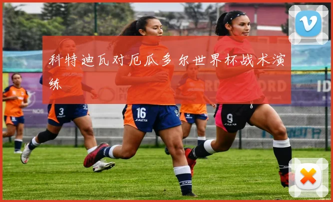 科特迪瓦对厄瓜多尔世界杯战术演练