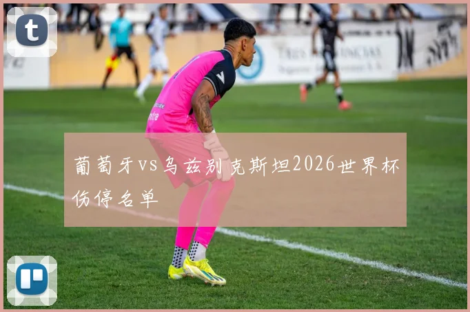 葡萄牙vs乌兹别克斯坦2026世界杯伤停名单