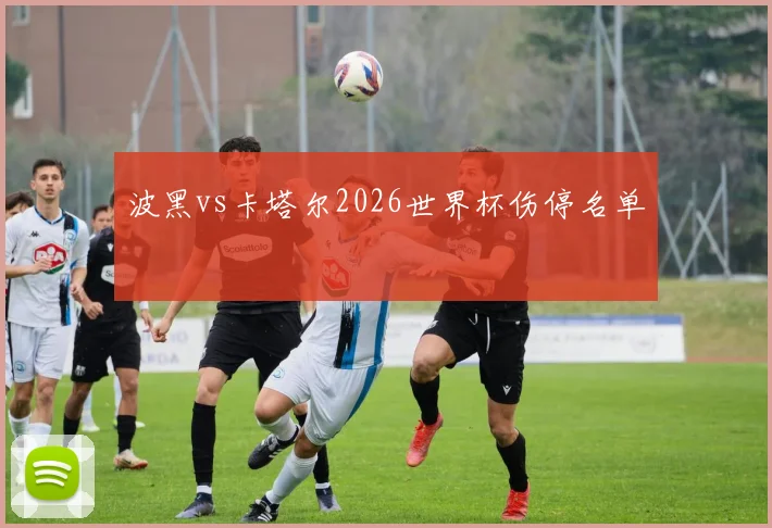 波黑vs卡塔尔2026世界杯伤停名单
