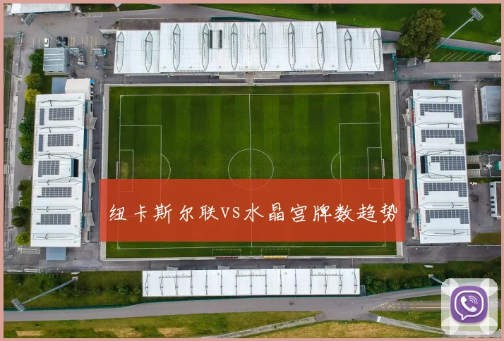 纽卡斯尔联vs水晶宫牌数趋势
