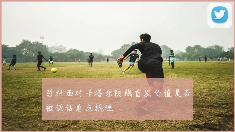哲科面对卡塔尔防线首发价值是否被低估看点梳理