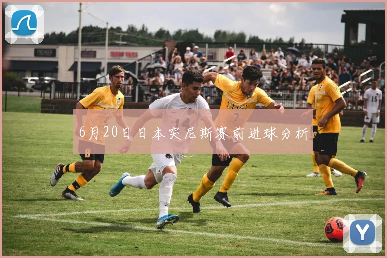 6月20日日本突尼斯赛前进球分析